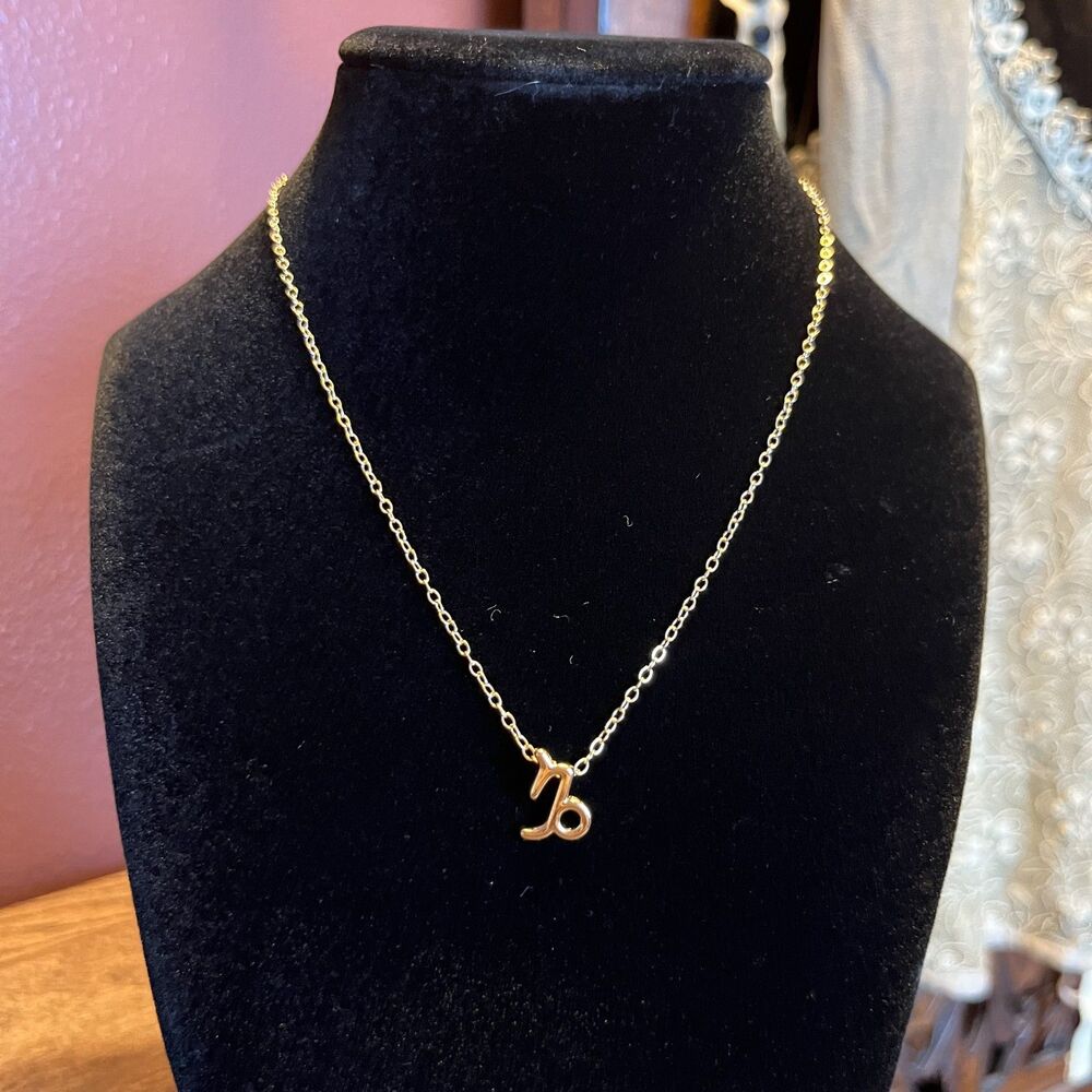 Capricorn Gold Plated Necklace 16 in Whimsygoth Practical Magic Eccentric Zodiac